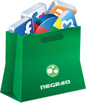 Online Marketing: Web, social media and search engine marketing with Negeso W/CMS